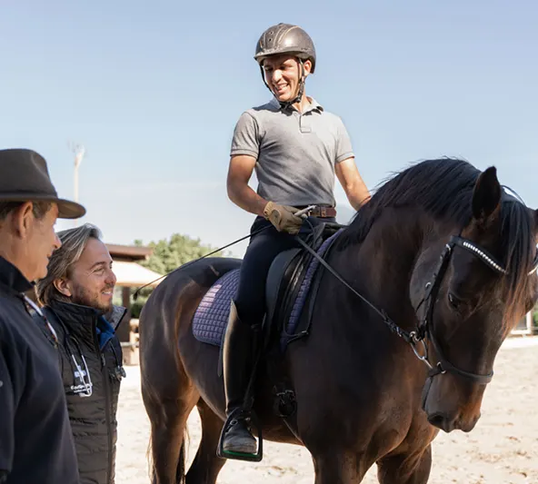 web home 5 web home 5